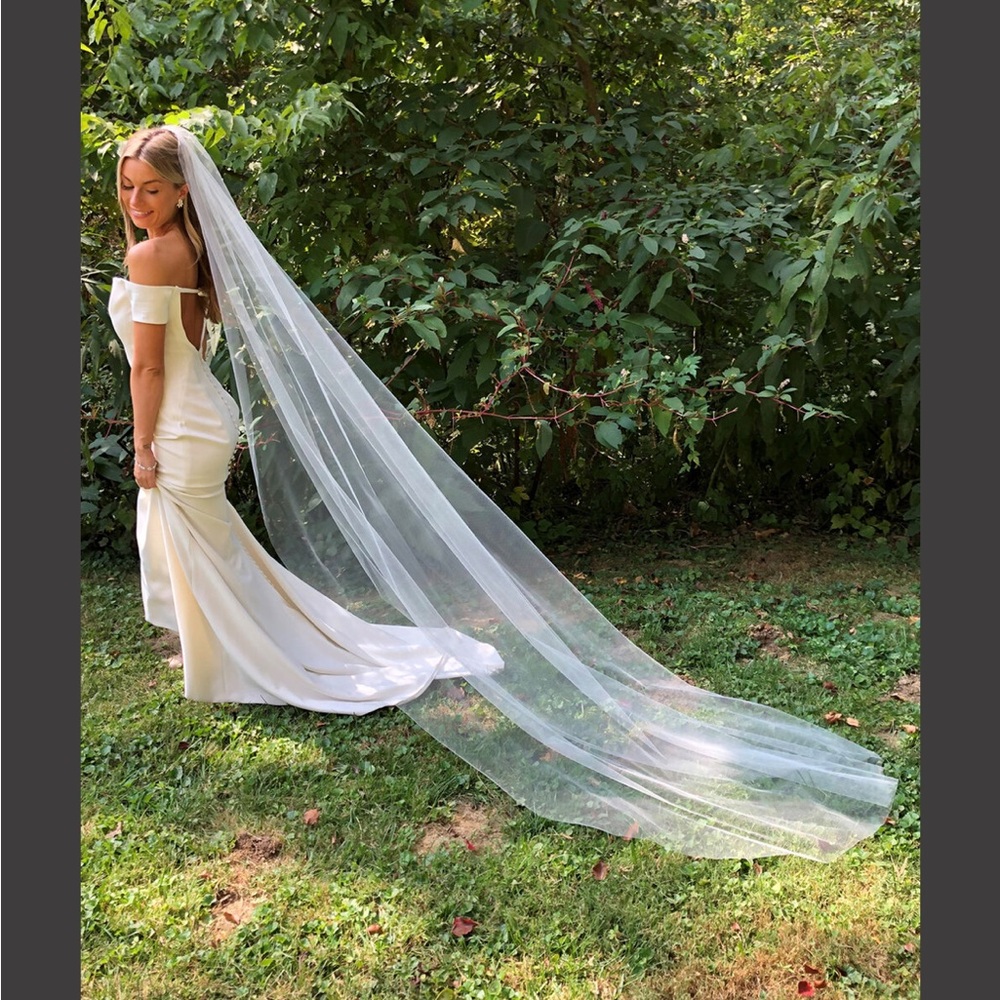 Paris Cathedral Veil